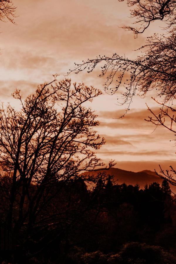 Villa Wooden Cosy Retreat Hunters Quay Dunoon Esterno foto
